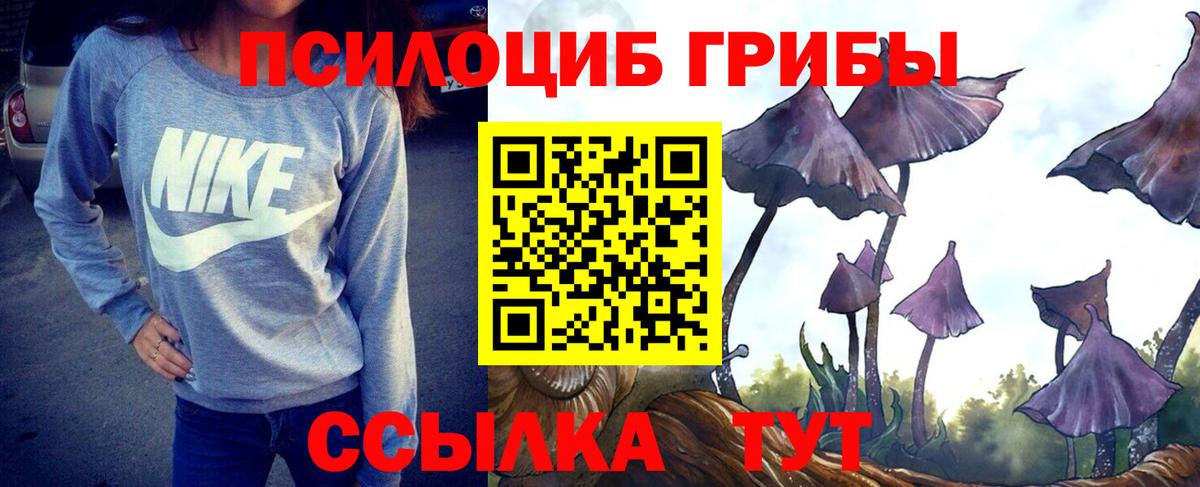 купить закладку  Вход с VPN  Армавир  Псилоцибиновые грибы мицелий  Псилоцибиновые грибы Cubensis 